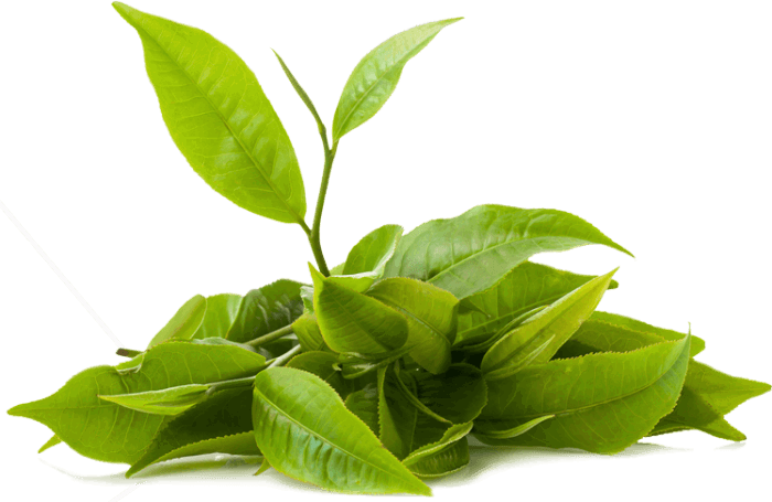 bg-block-home-2-700x455 bg-block-home-2-700x455